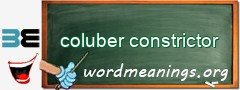 WordMeaning blackboard for coluber constrictor